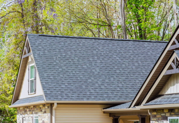 Best Roof Ventilation Installation  in Riverview, FL